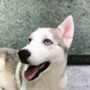 Meet your Posher, Maddy